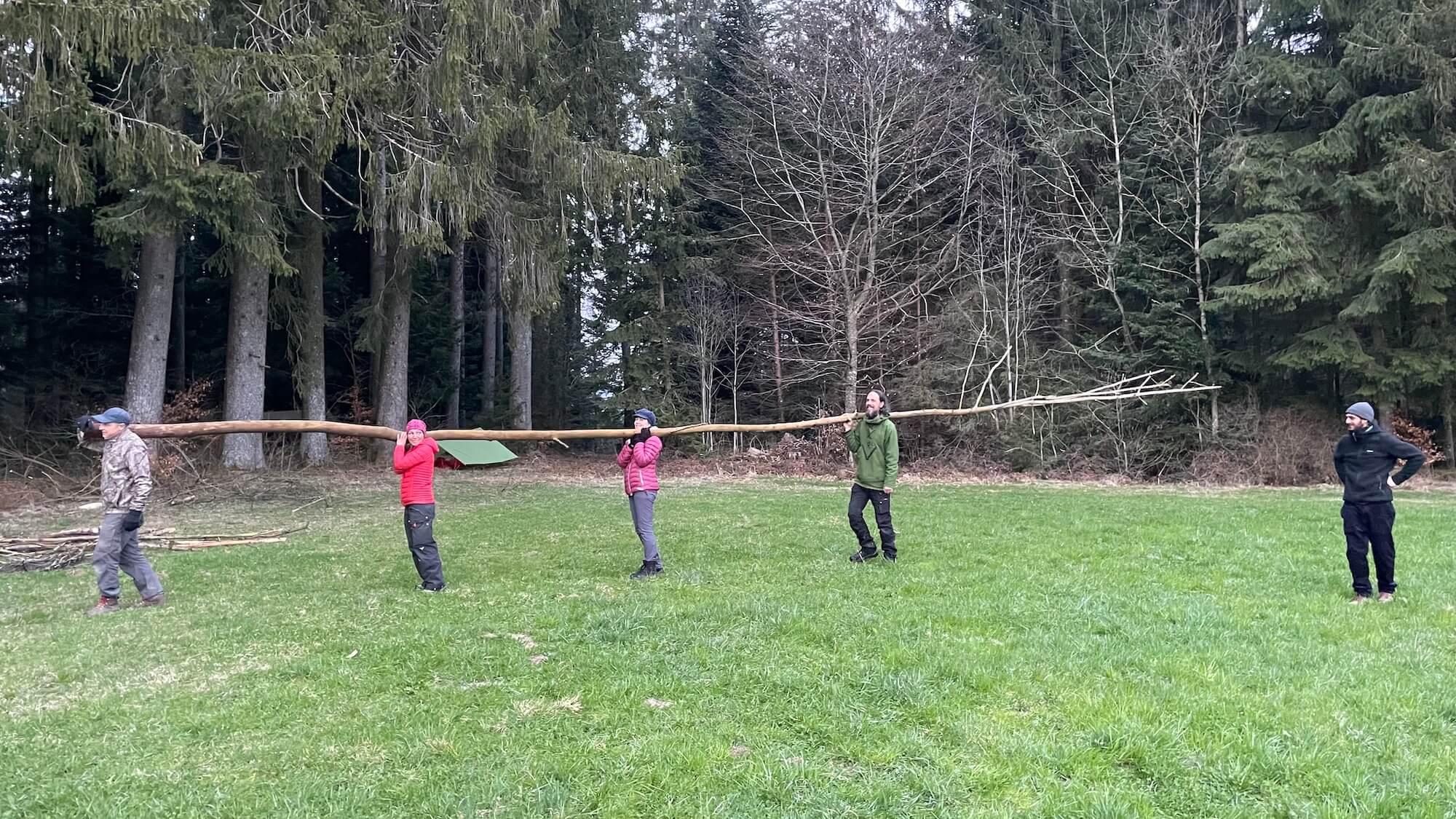 Bivouac mars 2024 eveil foret 1