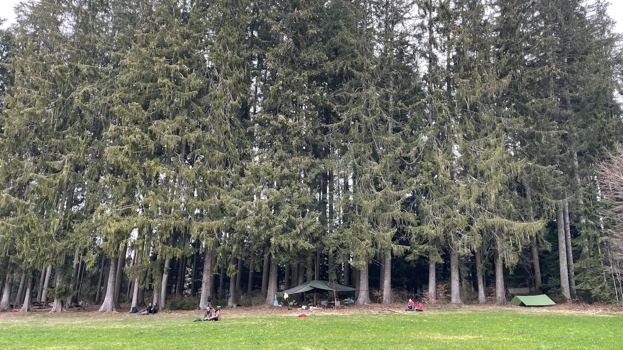 Bivouac mars 2024 eveil foret 4